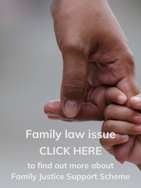 Family justice support